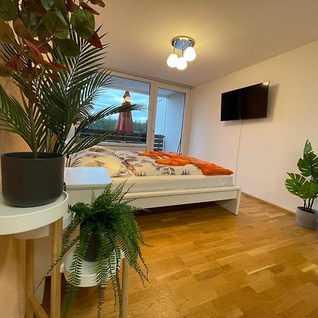 Ferienwohnung In Freudenstadt-Kniebis III المظهر الخارجي الصورة